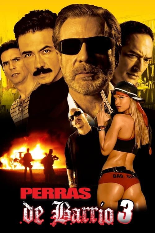 Perras de barrio 3のポスター