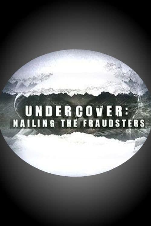 Undercover: Nailing the Fraudstersのポスター