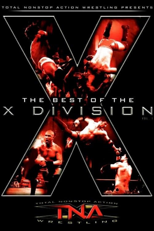 The Best of the X Division Vol. 1のポスター