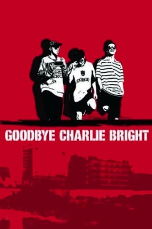 Goodbye Charlie Brightのポスター