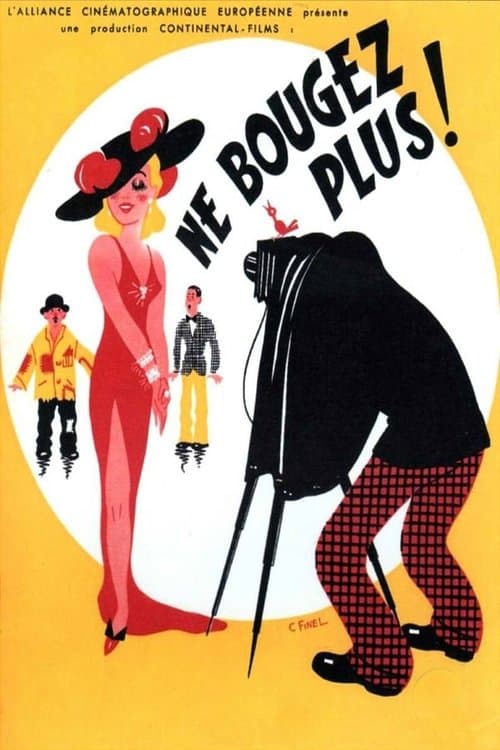 Ne bougez plus !のポスター
