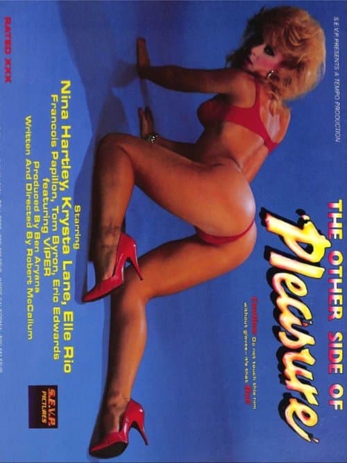 Other Side of Pleasureのポスター