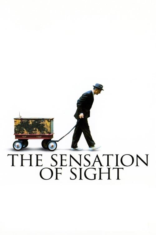 The Sensation of Sightのポスター