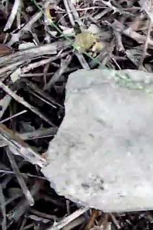 -Pursuit2.: A nessuno importa se viviamo/moriamoのポスター