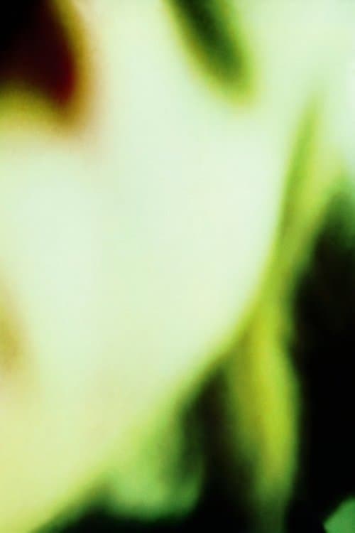 The Smashing Pumpkins: Basement Jam (Pulse Cable Access Show, November 19, 1988)のポスター