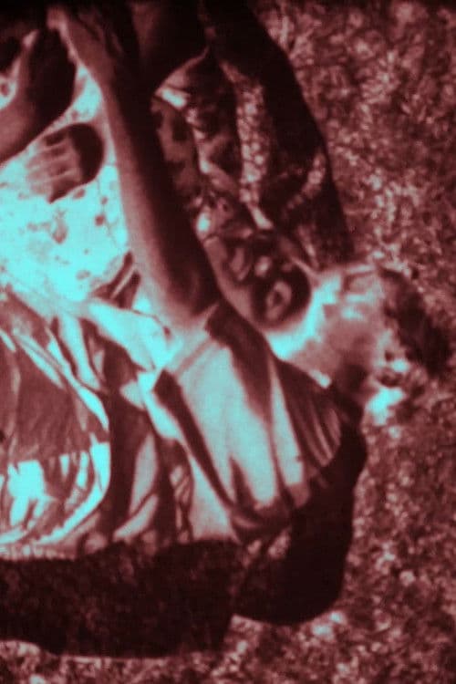 Ferðalokのポスター