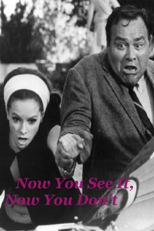 Now You See It, Now You Don'tのポスター