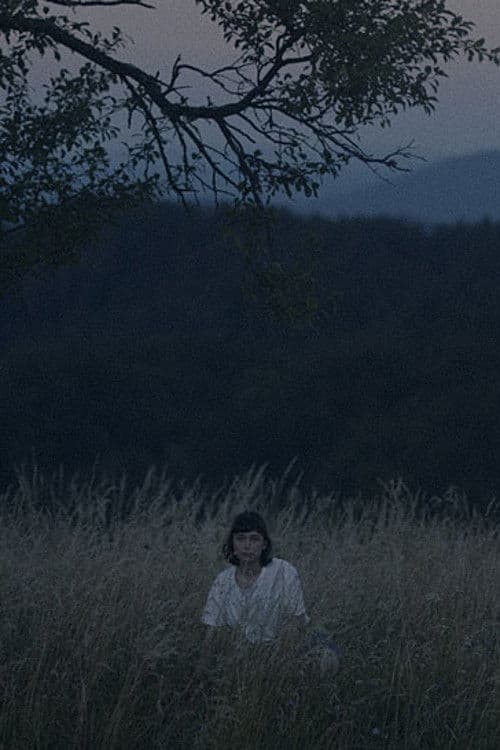 Kar ostaneのポスター