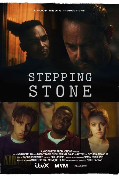 Stepping Stoneのポスター