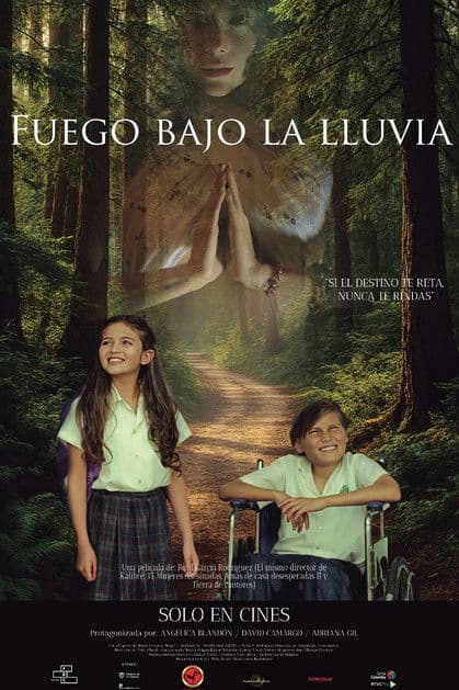 Fuego Bajo La Lluviaのポスター