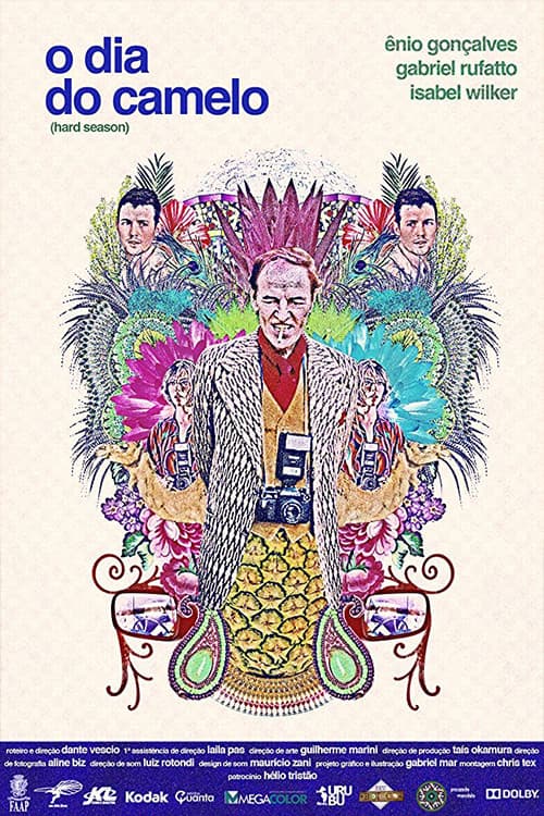 O Dia do Cameloのポスター