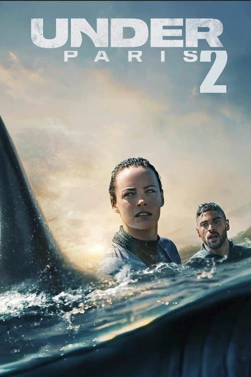 Sous la Seine 2のポスター