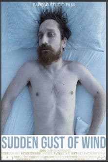 Sudden Gust of Windのポスター