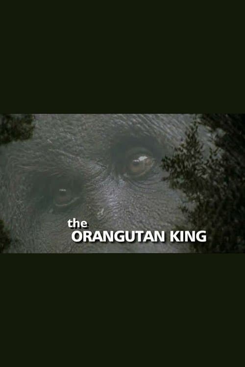 The Orangutan Kingのポスター