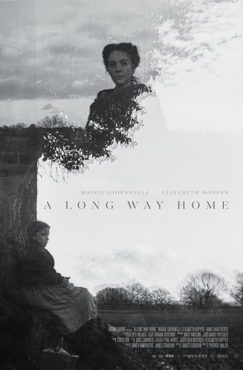 A Long Way Homeのポスター