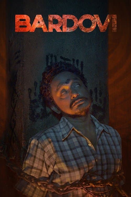 बारडोवीのポスター
