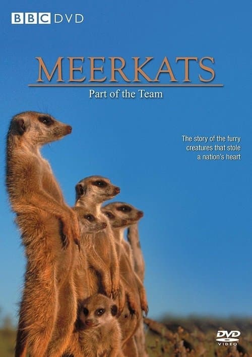 Meerkats: Part of the Teamのポスター