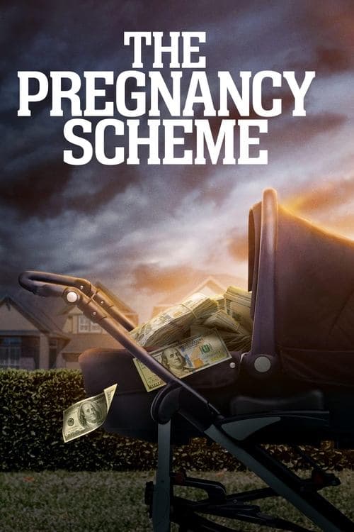 The Pregnancy Schemeのポスター