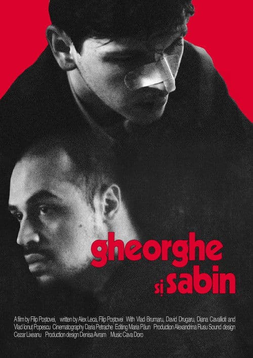 Gheorghe și Sabinのポスター