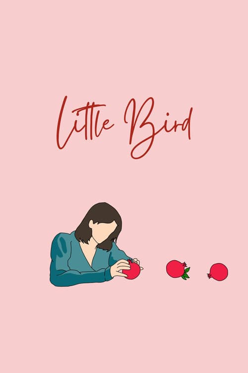 Little Birdのポスター
