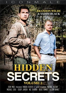 Hidden Secrets 2のポスター