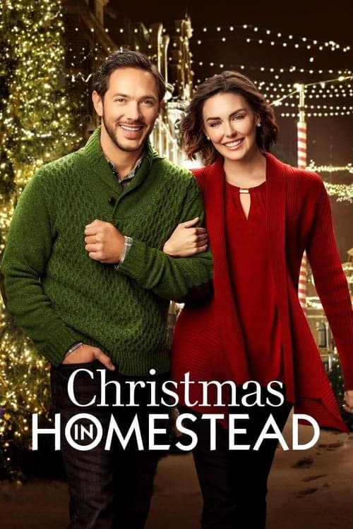 Christmas in Homesteadのポスター