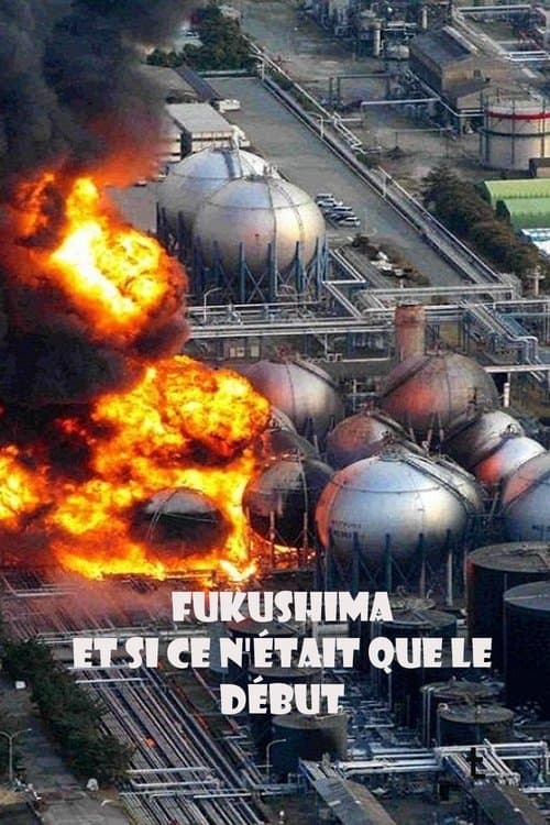 Fukushima: Is Nuclear Power Safe?のポスター