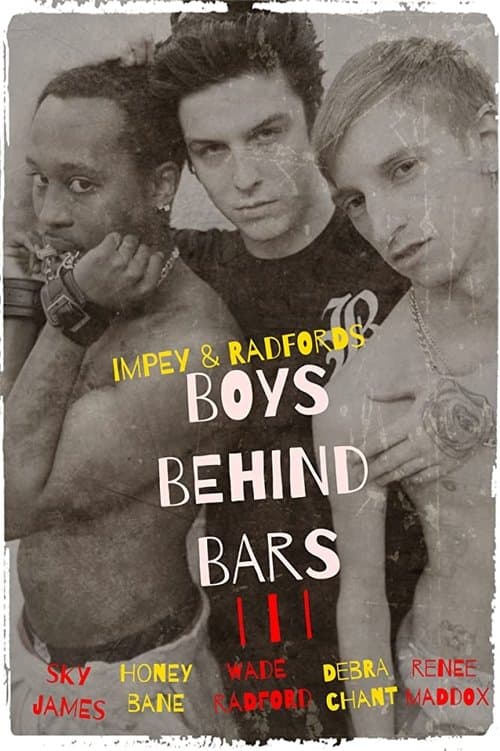 Boys Behind Bars 3のポスター