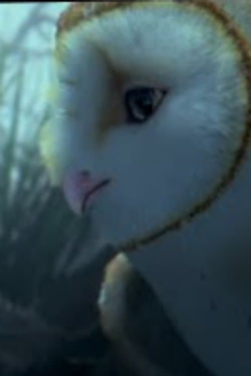 True Guardians of the Earthのポスター