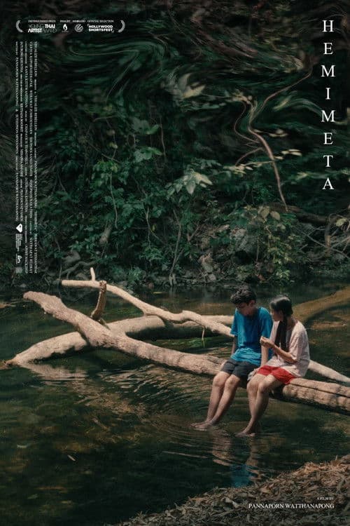 เฮมิเมตาのポスター