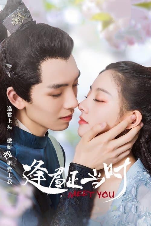 逢君正当时のポスター