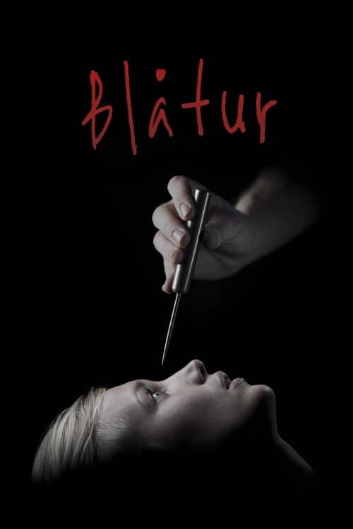 Blåturのポスター