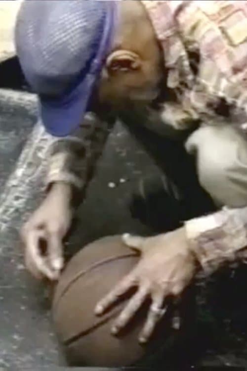 A Look at David Hammonsのポスター