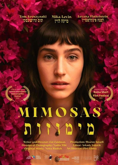 מימוזותのポスター