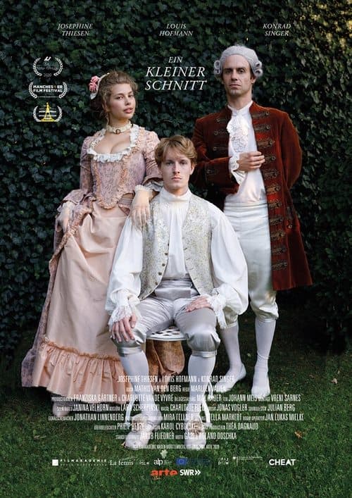 Ein kleiner Schnittのポスター