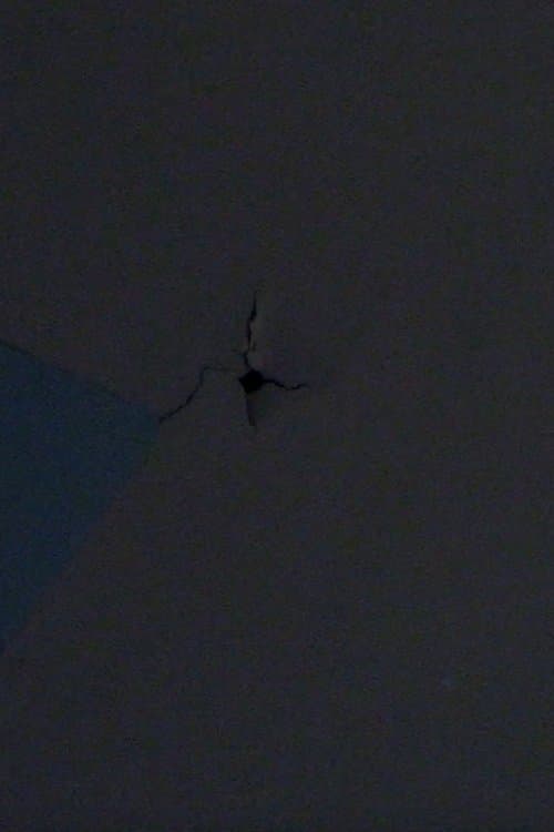 Bad Frequenciesのポスター