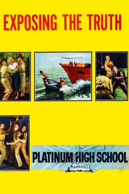 Platinum High Schoolのポスター