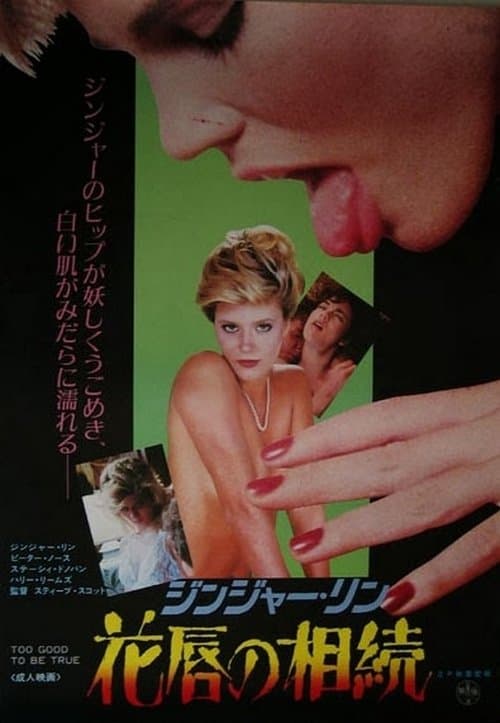 Too Good to Be Trueのポスター