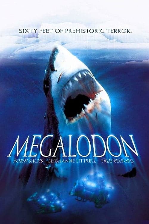 Megalodonのポスター