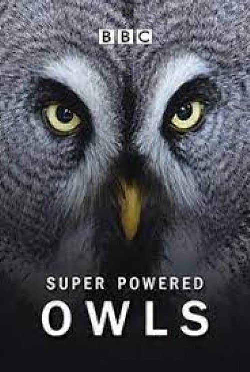 Super Powered Owlsのポスター