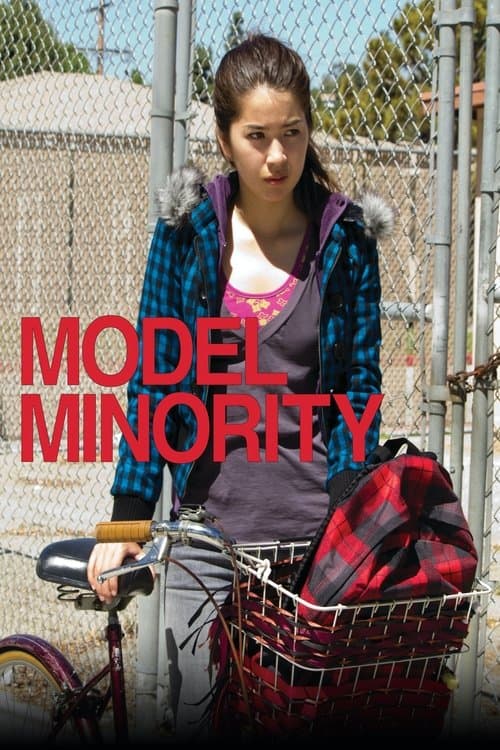 Model Minorityのポスター