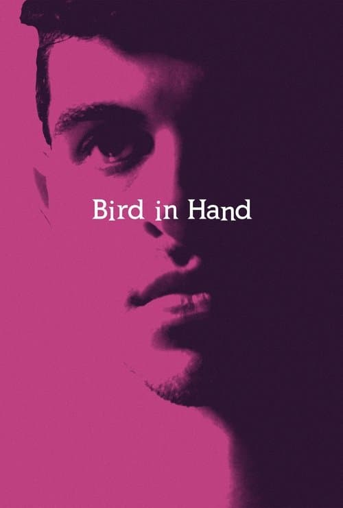 Bird in Handのポスター
