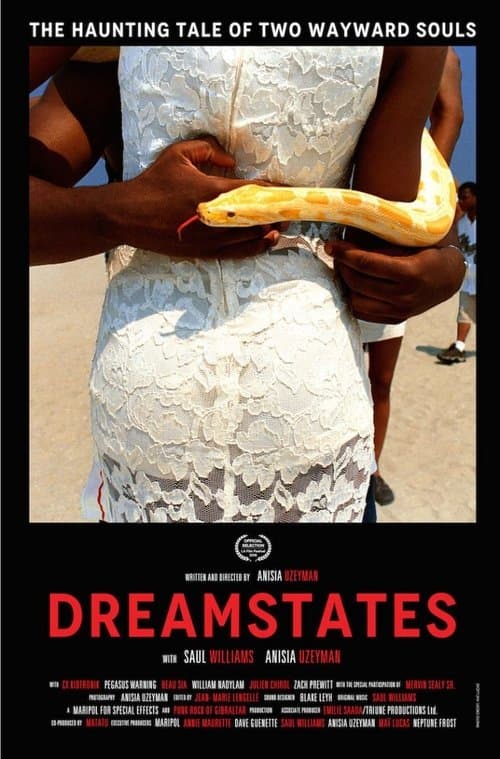 Dreamstatesのポスター