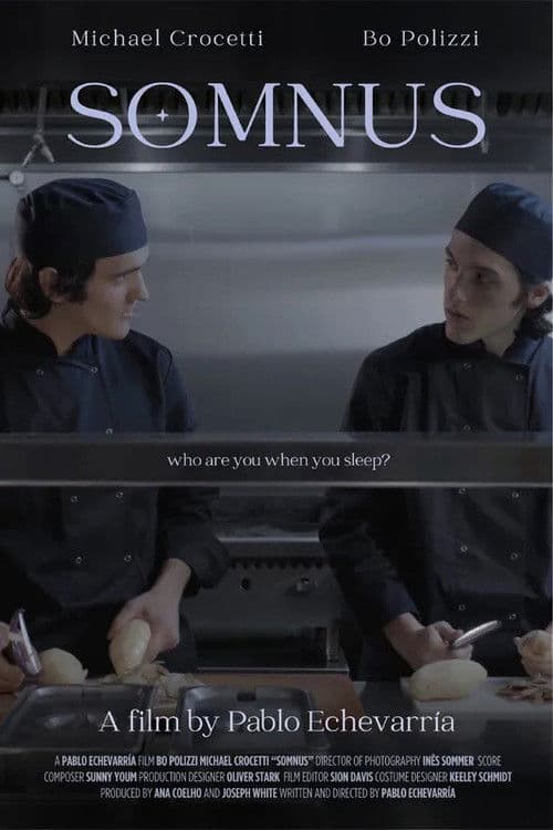 Somnusのポスター