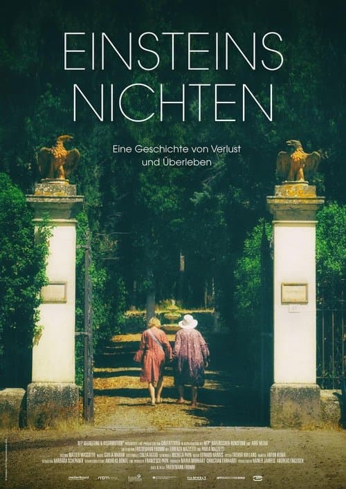 Einsteins Nichtenのポスター