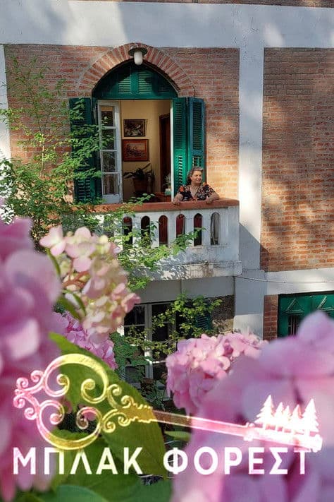 Μπλακ Φόρεστのポスター