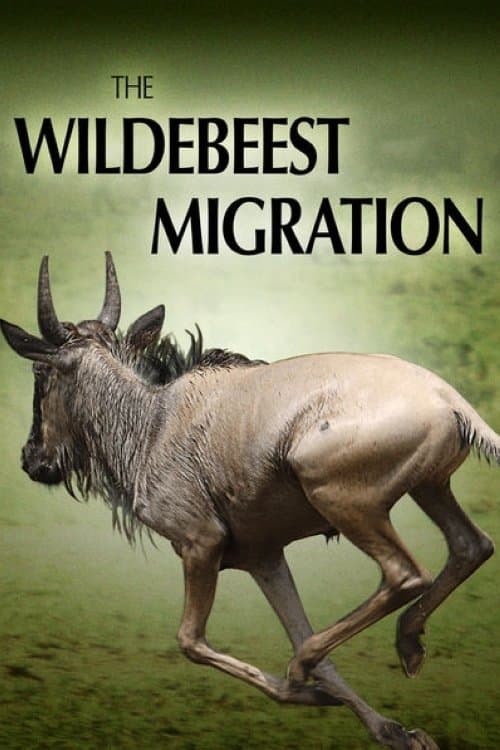 The Wildebeest Migration: Nature's Greatest Journeyのポスター