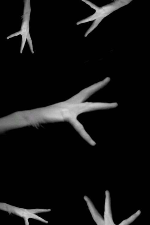 Phantom Handのポスター