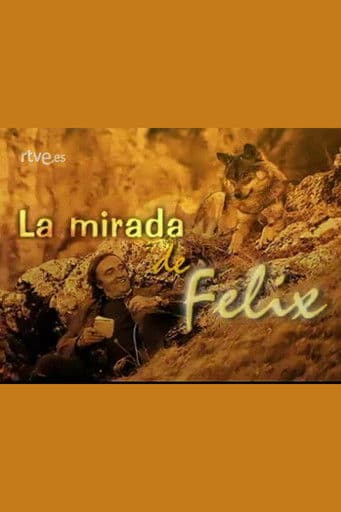 La mirada de Félixのポスター