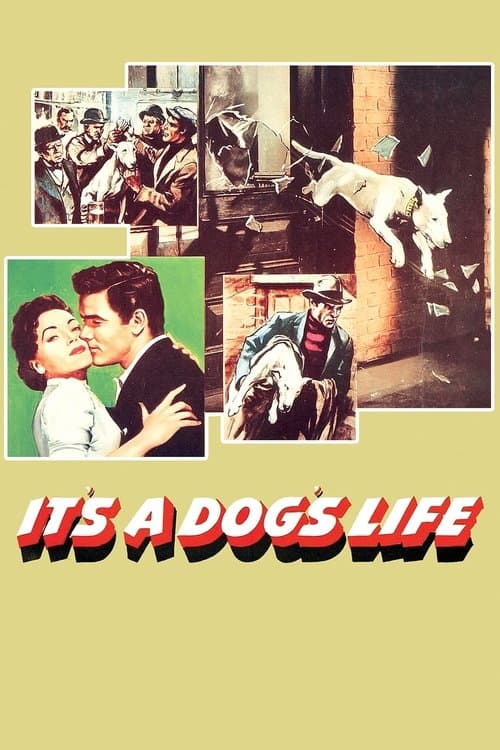 It's a Dog's Lifeのポスター
